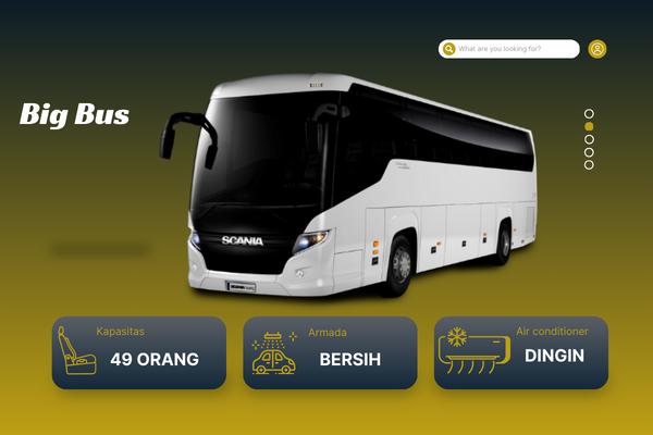 Big Bus Pariwisata