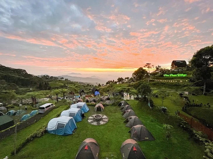 Kebun Teh Puncak