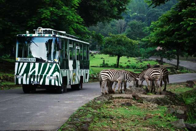 Taman Safari Indonesia
